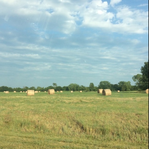 Meet your Posher, Yesenia - Picture 1 of 1